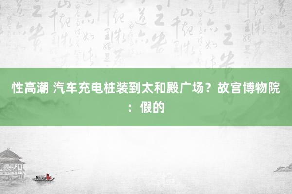 性高潮 汽车充电桩装到太和殿广场？故宫博物院：假的