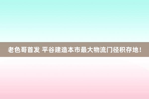 老色哥首发 平谷建造本市最大物流门径积存地！