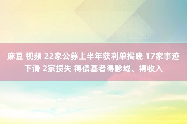 麻豆 视频 22家公募上半年获利单揭晓 17家事迹下滑 2家损失 得债基者得畛域、得收入
