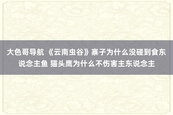 大色哥导航 《云南虫谷》寨子为什么没碰到食东说念主鱼 猫头鹰为什么不伤害主东说念主