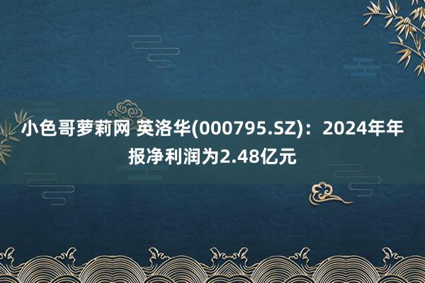 小色哥萝莉网 英洛华(000795.SZ)：2024年年报净利润为2.48亿元