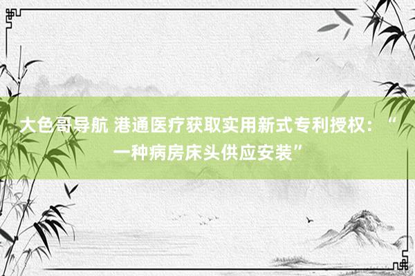 大色哥导航 港通医疗获取实用新式专利授权：“一种病房床头供应安装”