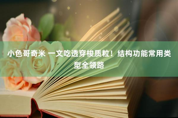 小色哥奇米 一文吃透穿梭质粒！结构功能常用类型全领路