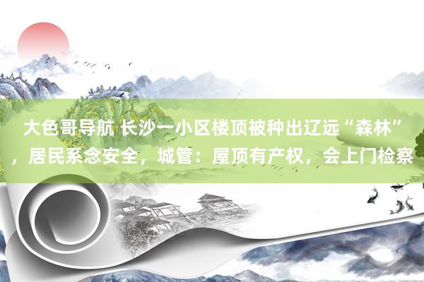 大色哥导航 长沙一小区楼顶被种出辽远“森林”，居民系念安全，城管：屋顶有产权，会上门检察